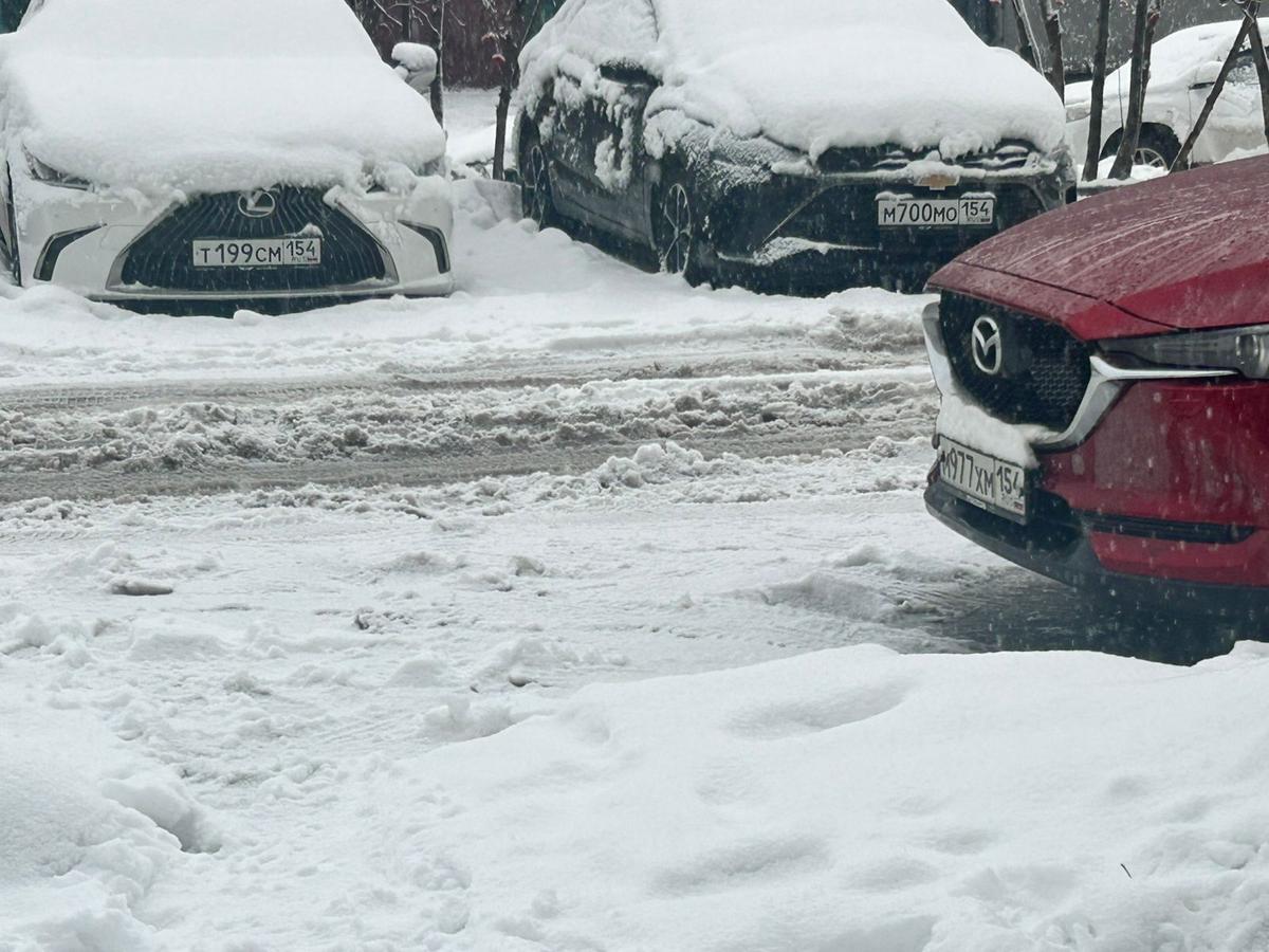 Фото «Не пройти, не проехать»: Новосибирск погрузился в слякоть. Фоторепортаж 7